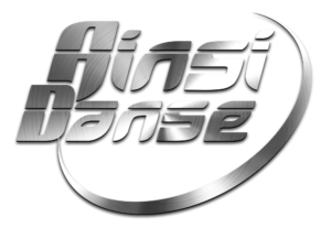 GALA DE L'ÉCOLE AINSIDANSE